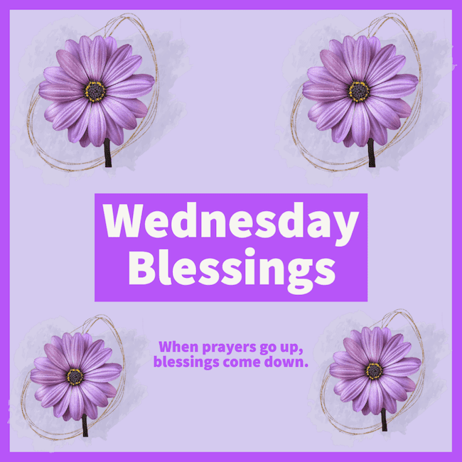 Wednesday Blessings