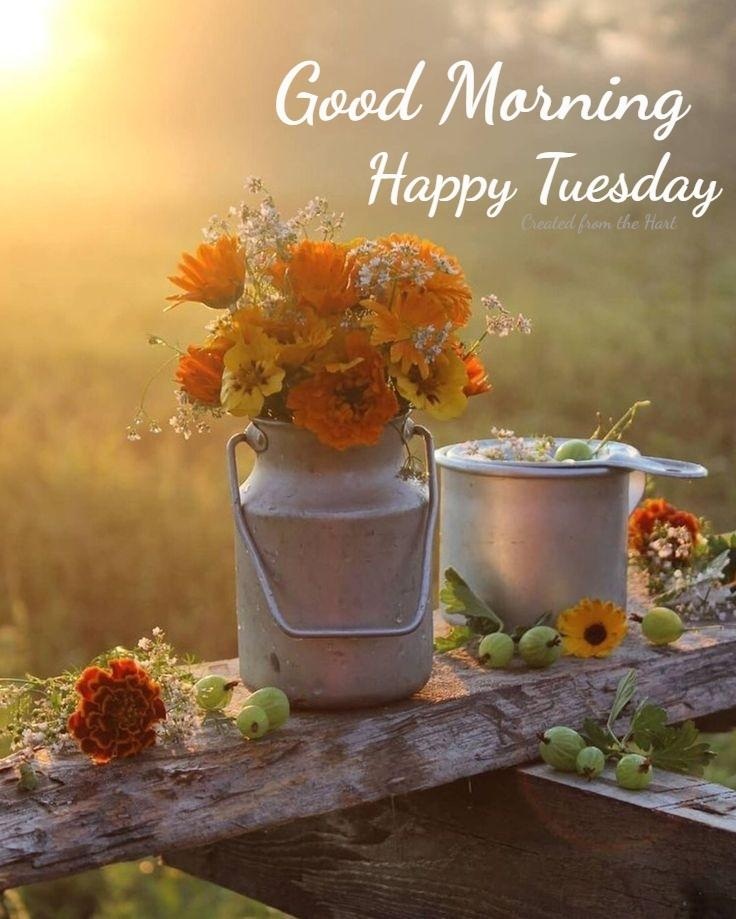 Tuesday Blessings