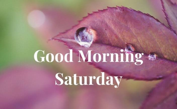 Saturday Morning Messages