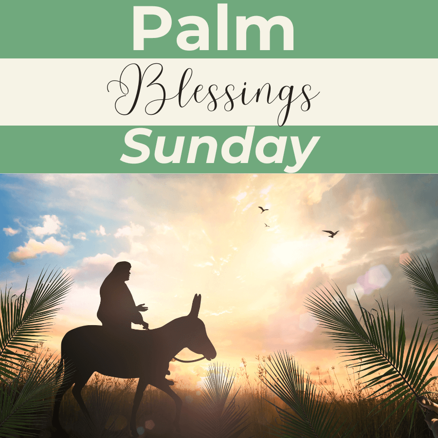blessing Palm Sunday